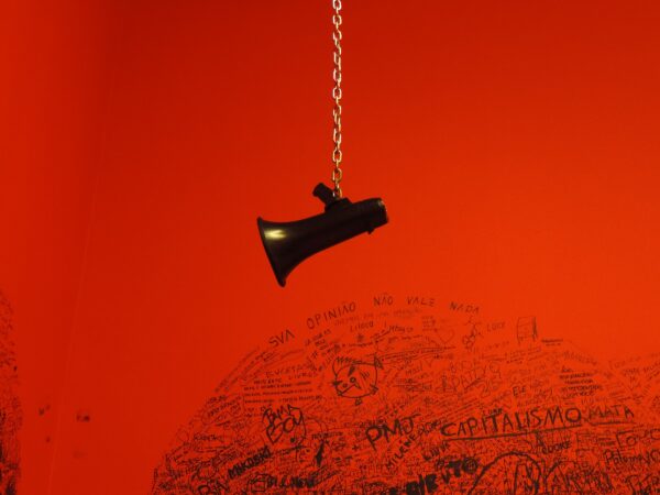opinion-loudspeaker