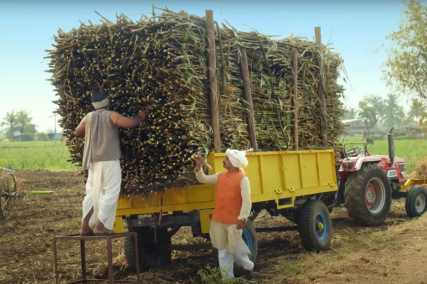 Syngenta Virtako Sugarcane